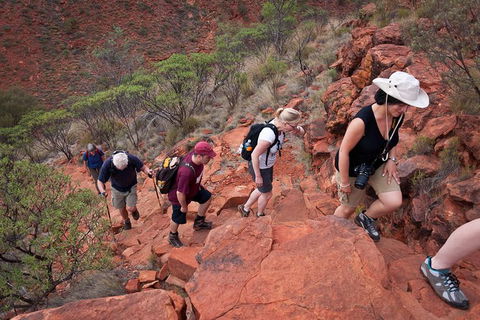 Uluru, Kata Tjuta And Kings Canyon Camping Safari From Alice Springs - New Castle Holiday 3