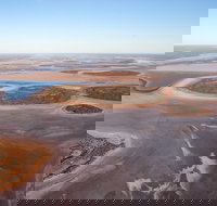 Helicopter Scenic Lizard Safari - New Castle Holiday