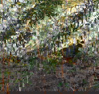 World War II Beyond Darwin - New Castle Holiday