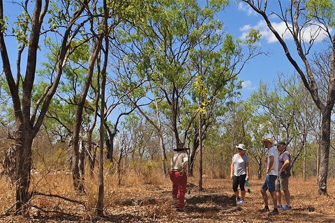 World War II Beyond Darwin - New Castle Holiday 4