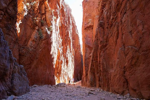 Best Of Alice Springs Full Day Tour - New Castle Holiday 6