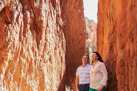 Best Of Alice Springs Full Day Tour - New Castle Holiday 4