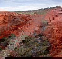 Uluru Kata Tjuta and Kings Canyon Camping Safari from Ayers Rock - New Castle Holiday