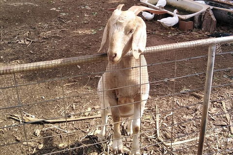 Full-Day Private Guided Tour To Litchfield National Park - New Castle Holiday 10