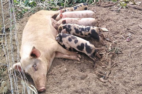 Full-Day Private Guided Tour To Litchfield National Park - New Castle Holiday 2