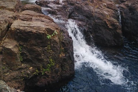 Full-Day Private Guided Tour To Litchfield National Park - New Castle Holiday 8
