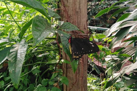 Full-Day Private Guided Tour To Litchfield National Park - New Castle Holiday 1