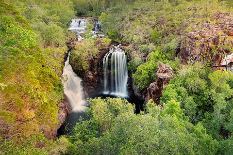 Full-Day Private Guided Tour To Litchfield National Park - New Castle Holiday 0