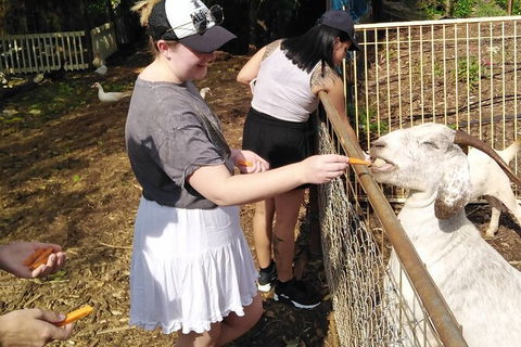 Full-Day Private Guided Tour To Litchfield National Park - New Castle Holiday 4