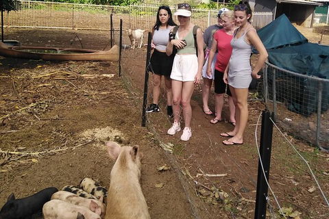 Full-Day Private Guided Tour To Litchfield National Park - New Castle Holiday 13