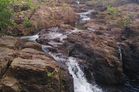 Full-Day Private Guided Tour To Litchfield National Park - New Castle Holiday 15