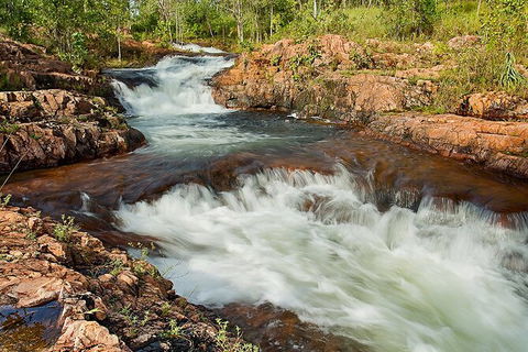 Full-Day Private Guided Tour To Litchfield National Park - New Castle Holiday 3