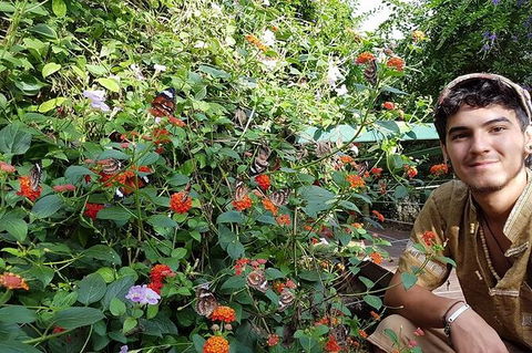 Full-Day Private Guided Tour To Litchfield National Park - New Castle Holiday 17