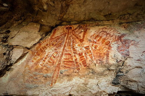 Arnhem Land Injalak Hill Full-Day Tour From Darwin - New Castle Holiday 1