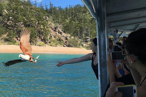 Aquascene Magnetic Island Discovery Tour - New Castle Holiday 2