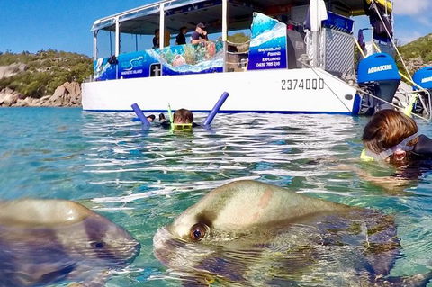 Aquascene Magnetic Island Discovery Tour - New Castle Holiday 4