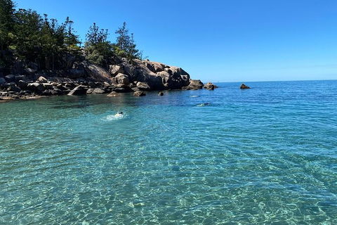 Aquascene Magnetic Island Discovery Tour - New Castle Holiday 9