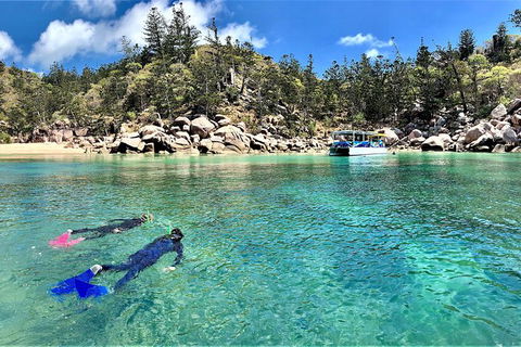 Aquascene Magnetic Island Discovery Tour - New Castle Holiday 8