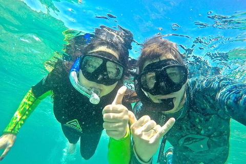 2.5hr Gold Coast Kayaking & Snorkelling Tour - New Castle Holiday 2