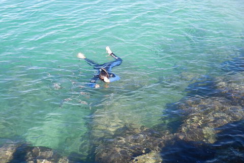 2.5hr Gold Coast Kayaking & Snorkelling Tour - New Castle Holiday 11