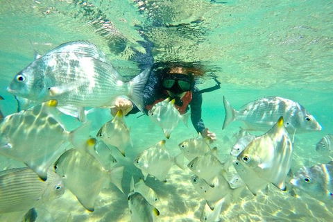 2.5hr Gold Coast Kayaking & Snorkelling Tour - New Castle Holiday 14