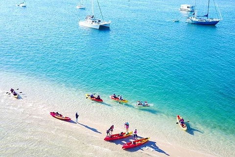 2.5hr Gold Coast Kayaking & Snorkelling Tour - New Castle Holiday 0