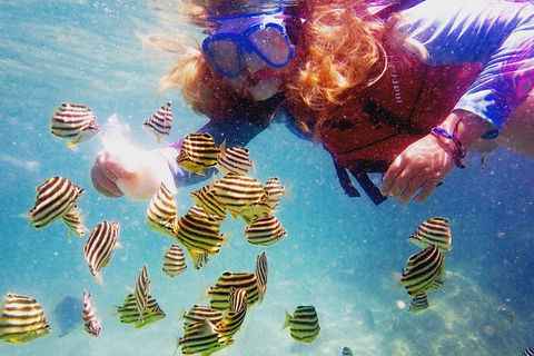 2.5hr Gold Coast Kayaking & Snorkelling Tour - New Castle Holiday 10