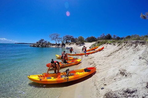 2.5hr Gold Coast Kayaking & Snorkelling Tour - New Castle Holiday 4