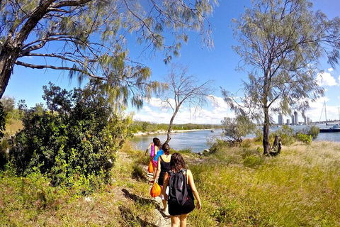 2.5hr Gold Coast Kayaking & Snorkelling Tour - New Castle Holiday 5
