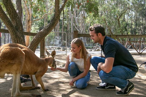 Currumbin Wildlife Sanctuary General Entry Ticket - New Castle Holiday 1
