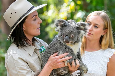 Currumbin Wildlife Sanctuary General Entry Ticket - New Castle Holiday 6