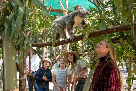 Currumbin Wildlife Sanctuary General Entry Ticket - New Castle Holiday 14