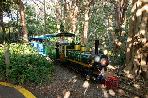 Currumbin Wildlife Sanctuary General Entry Ticket - New Castle Holiday 13