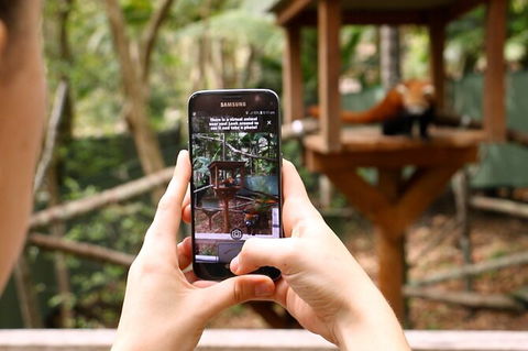 Currumbin Wildlife Sanctuary General Entry Ticket - New Castle Holiday 4