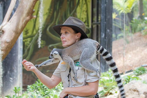 Currumbin Wildlife Sanctuary General Entry Ticket - New Castle Holiday 7