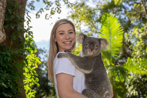 Currumbin Wildlife Sanctuary General Entry Ticket - New Castle Holiday 0