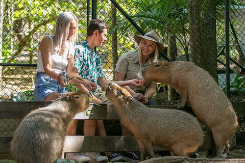 Currumbin Wildlife Sanctuary General Entry Ticket - New Castle Holiday 16