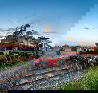 Mary Valley Rattler - New Castle Holiday