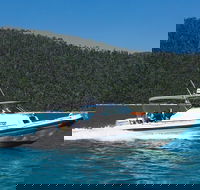Private Standard Charter Experience in Whitsundays - New Castle Holiday