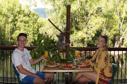 Hartley\'s Crocodile Adventures Entry Ticket And Breakfast With The Koalas - New Castle Holiday 0