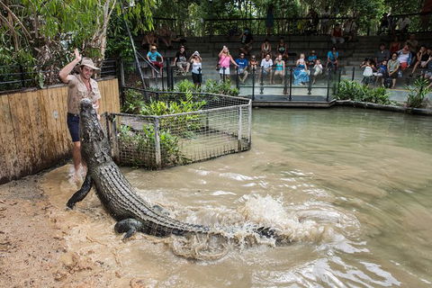 Hartley\'s Crocodile Adventures Entry Ticket And Breakfast With The Koalas - New Castle Holiday 2