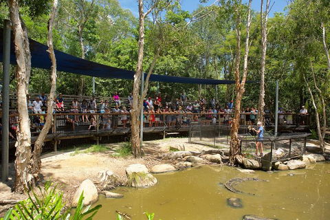 Hartley\'s Crocodile Adventures Entry Ticket And Breakfast With The Koalas - New Castle Holiday 5