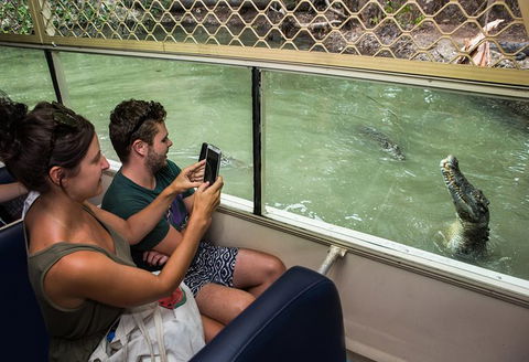 Hartley\'s Crocodile Adventures Entry Ticket And Breakfast With The Koalas - New Castle Holiday 7