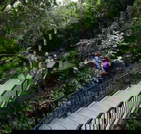 4-Day Cairns with Great Barrier Reef and Daintree Rainforest - New Castle Holiday