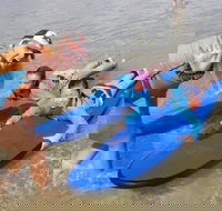 Kids Only Surf Lessons at Surfers Paradise Beach - New Castle Holiday