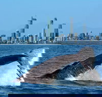 Gold Coast Airport to and from Byron Bay NSW for up-to 7 ppl - New Castle Holiday