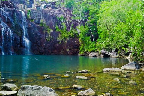 Reef, Wildlife & Rainforest - Reef & Beyond Guided Holidays - New Castle Holiday 0
