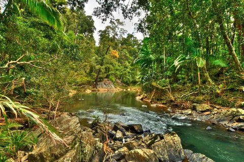 Reef, Wildlife & Rainforest - Reef & Beyond Guided Holidays - New Castle Holiday 3