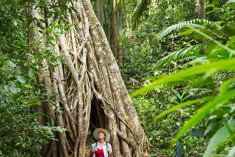 Reef, Wildlife & Rainforest - Reef & Beyond Guided Holidays - New Castle Holiday 2