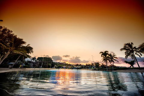 Reef, Wildlife & Rainforest - Reef & Beyond Guided Holidays - New Castle Holiday 6